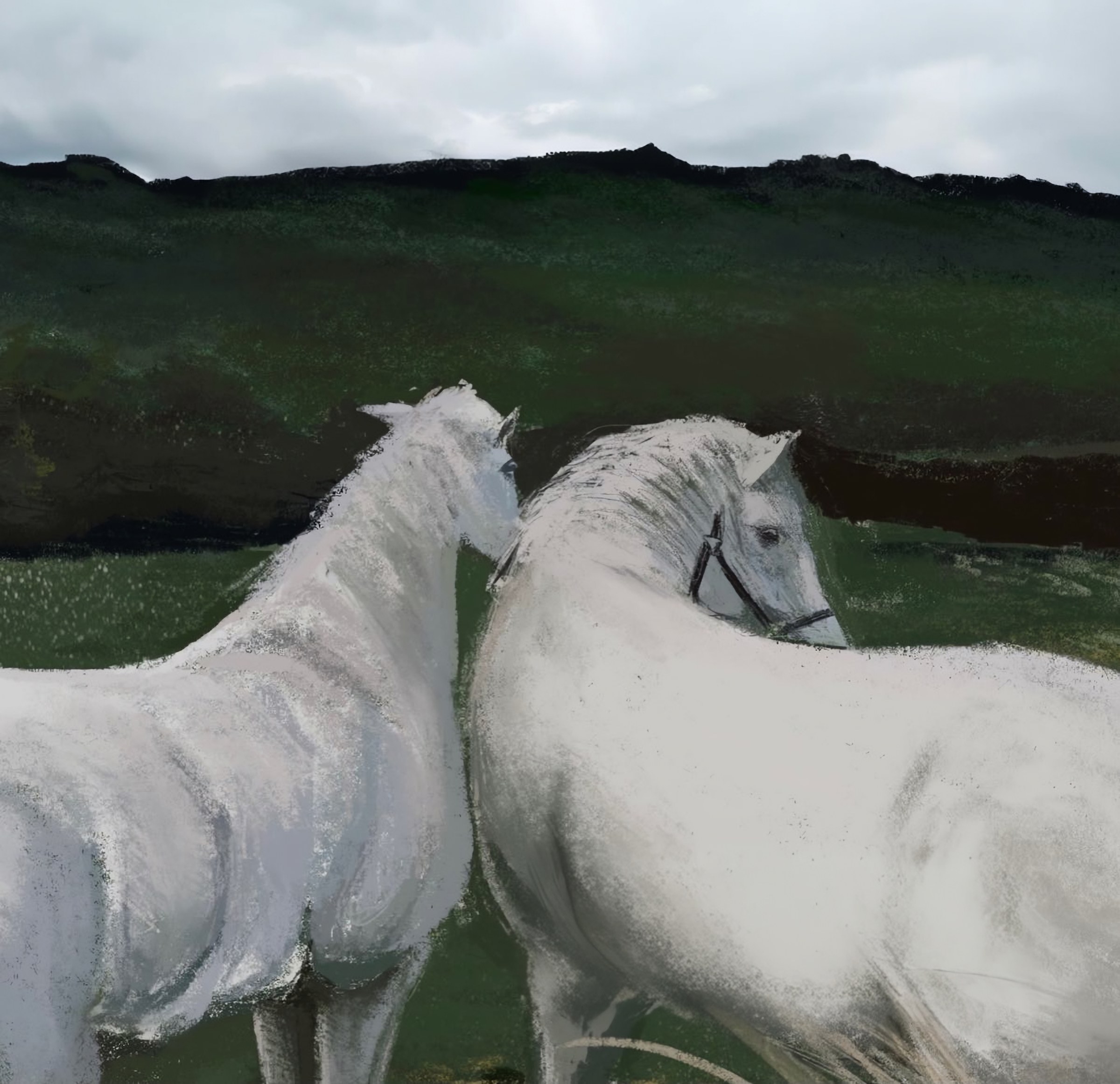 Two white horses in a green valley