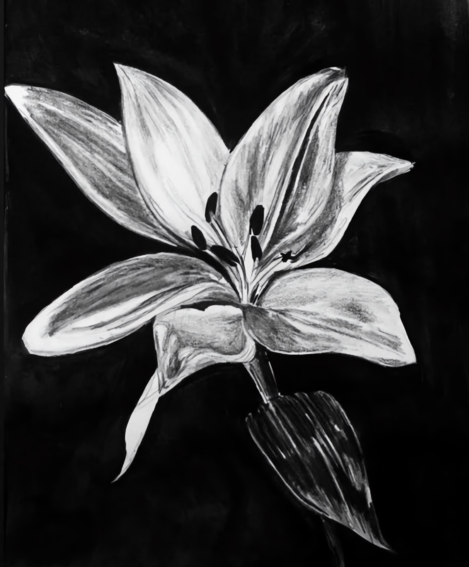 Lily in the Dark — Charcoal